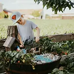 Stork Nest Treehouse - Ranc Jures Strkovo Gnezdo * Ljutomer