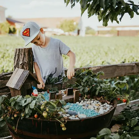 Treehouse Drevesna Hiska Strkovo Gnezdo Ranc Jures * ליוטומר