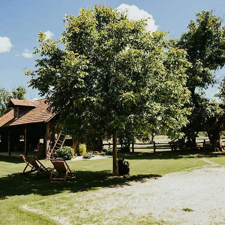 Treehouse Drevesna Hiska Strkovo Gnezdo Ranc Jures Luxury tent