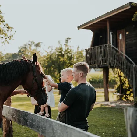 Treehouse Drevesna Hiska Strkovo Gnezdo Ranc Jures