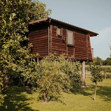Treehouse Drevesna Hiska Strkovo Gnezdo Ranc Jures Luxury tent Ljutomer