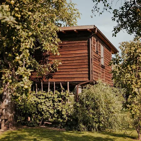 Treehouse Drevesna Hiska Strkovo Gnezdo Ranc Jures * Ljutomer