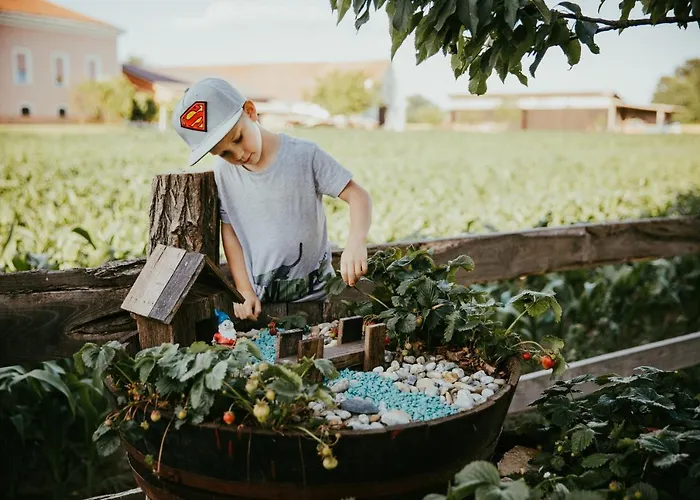 Treehouse Drevesna Hiska Strkovo Gnezdo Ranc Jures * 류토메르