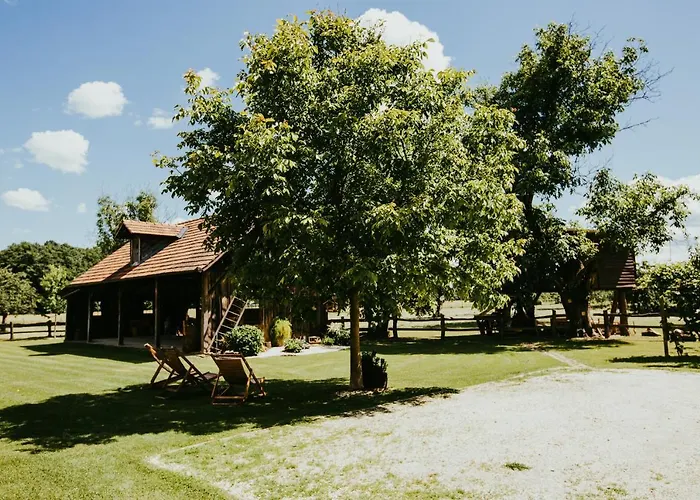 Treehouse Drevesna Hiska Strkovo Gnezdo Ranc Jures 럭셔리텐트