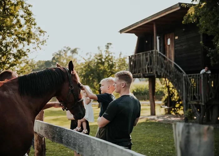 Treehouse Drevesna Hiska Strkovo Gnezdo Ranc Jures