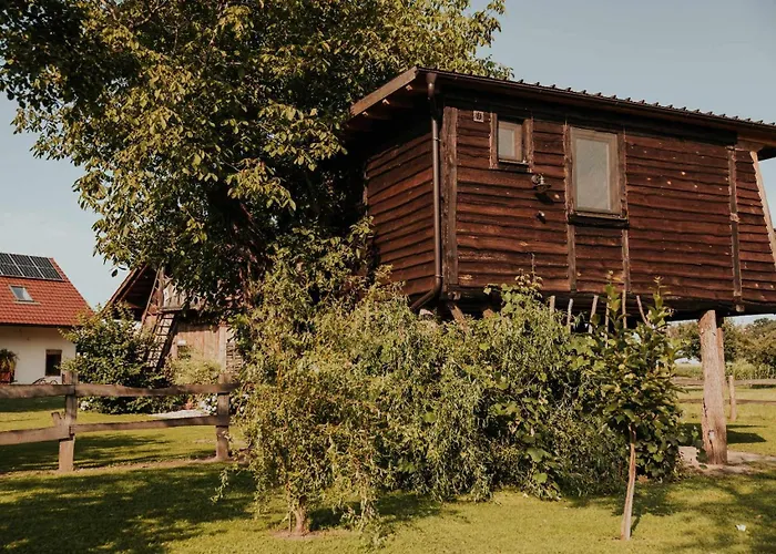 Treehouse Drevesna Hiska Strkovo Gnezdo Ranc Jures * 류토메르