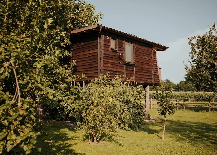 Treehouse Drevesna Hiska Strkovo Gnezdo Ranc Jures 럭셔리텐트 류토메르