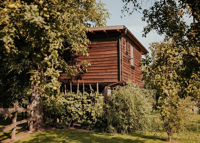 Treehouse Drevesna Hiska Strkovo Gnezdo Ranc Jures * 류토메르